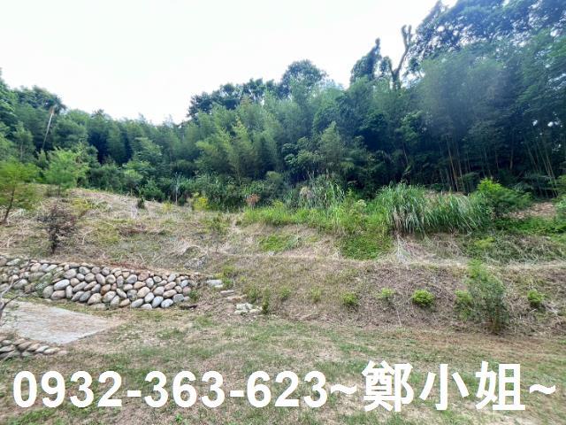 卓蘭農地-3