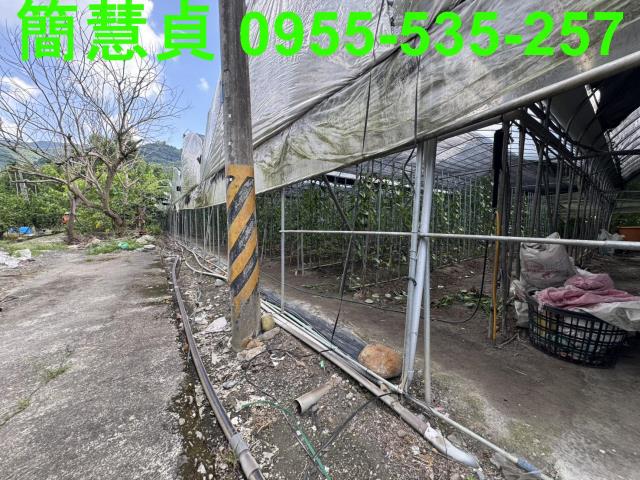 南投農地-2