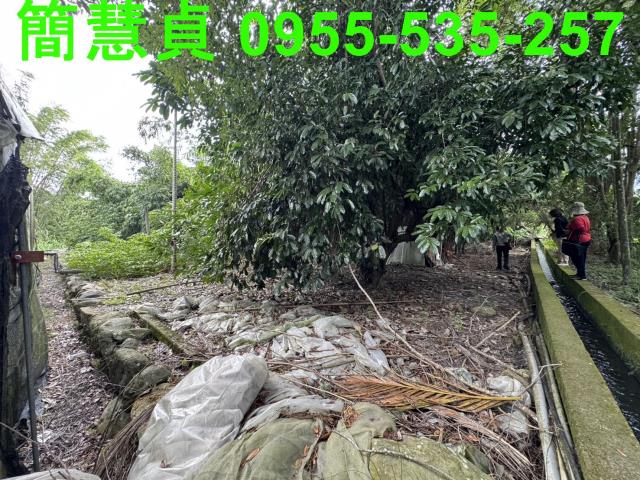 南投農地-5