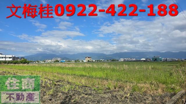 宜蘭宜蘭市農地-8