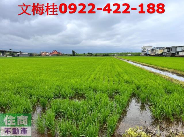 宜蘭宜蘭市農地-1
