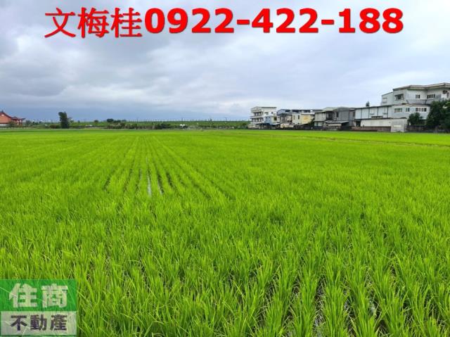 宜蘭宜蘭市農地-2