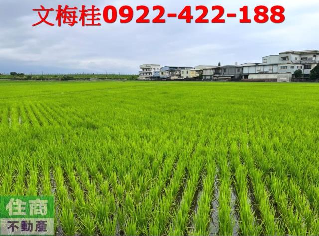 宜蘭宜蘭市農地-4