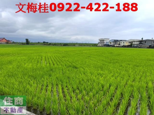 宜蘭宜蘭市農地-5