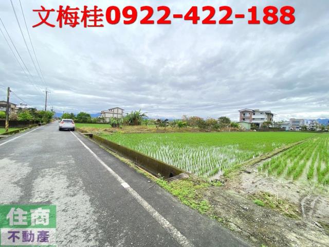 宜蘭宜蘭市農地-6