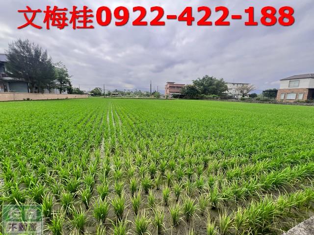 宜蘭員山農地-6