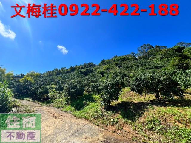 宜蘭員山農地-2