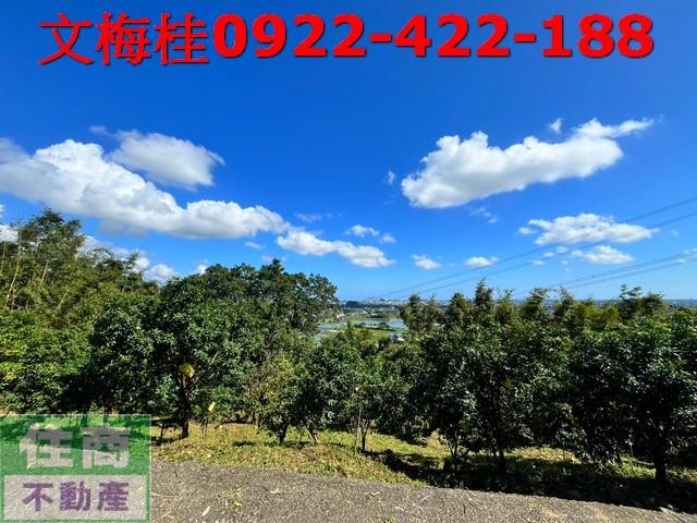 宜蘭員山農地-4