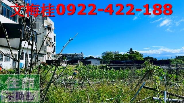 頭城農地-1