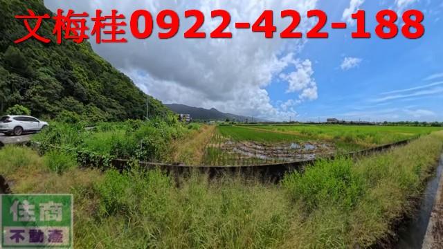 礁溪農地-4
