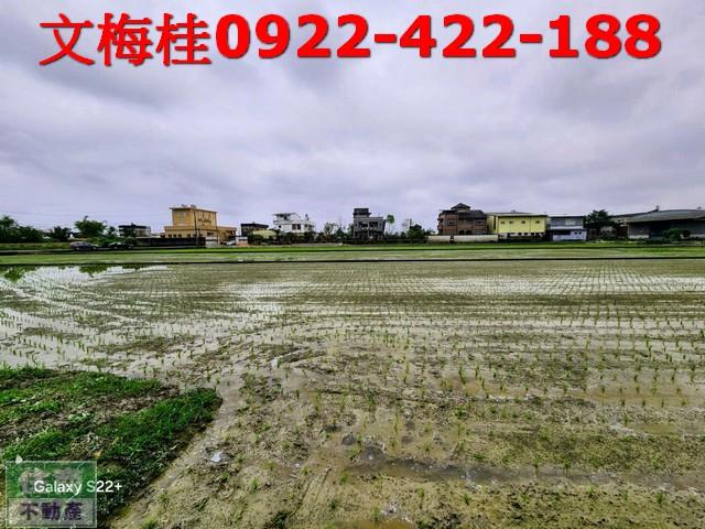 礁溪農地-7