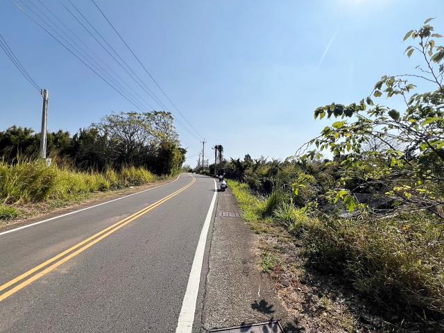 龍井農地-2