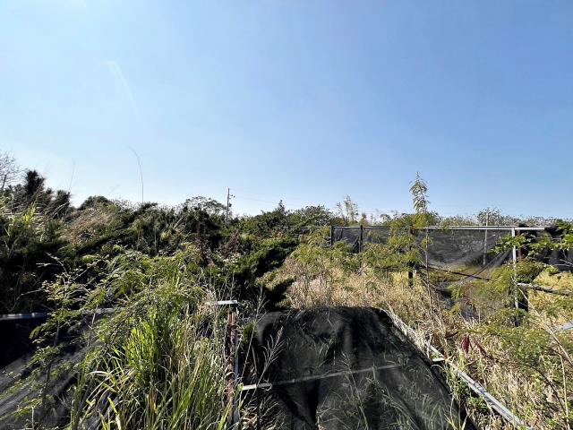龍井農地-5