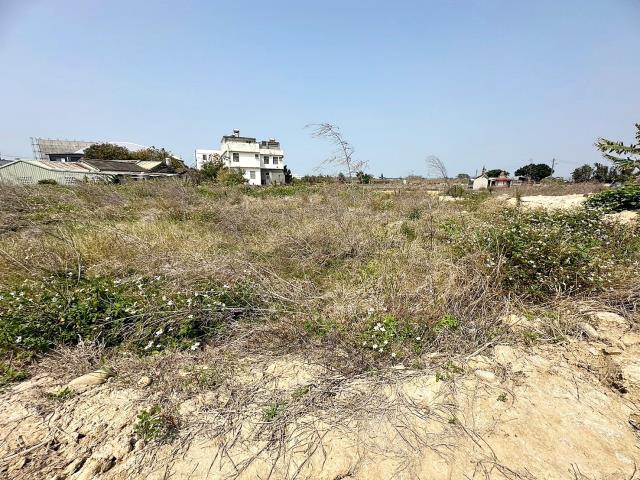 清水農地-1