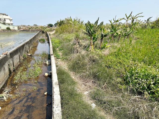 清水農地-6