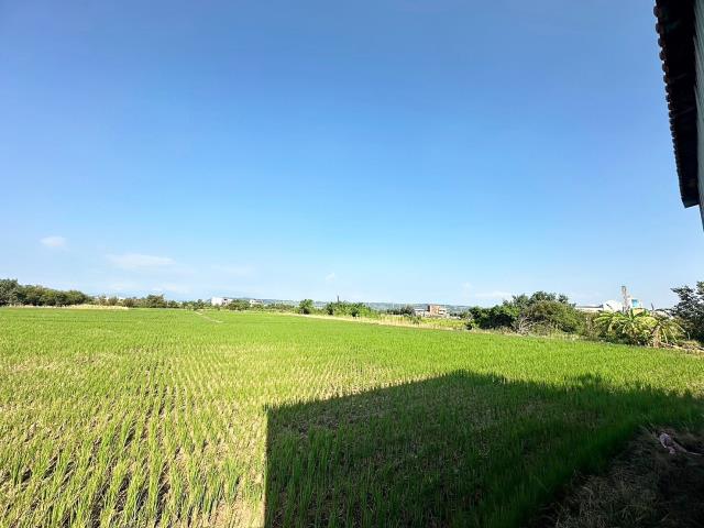 台中農地-4