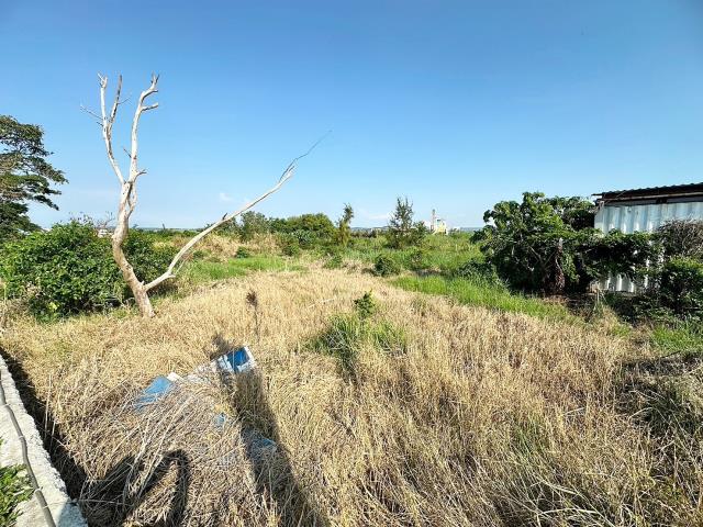台中農地-2