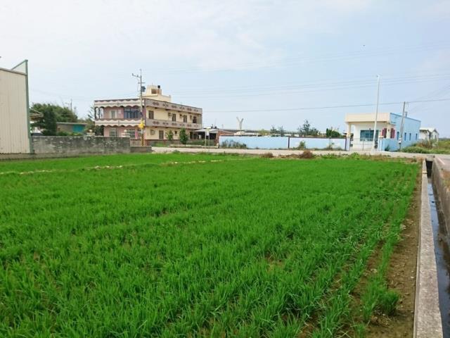台中大甲農地-5