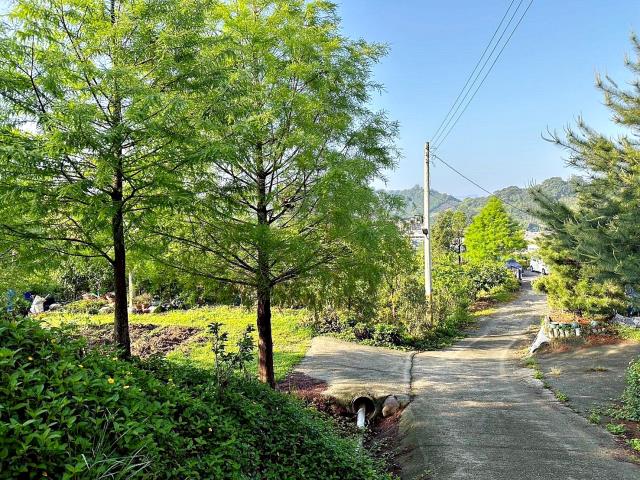 台中東勢農地-9
