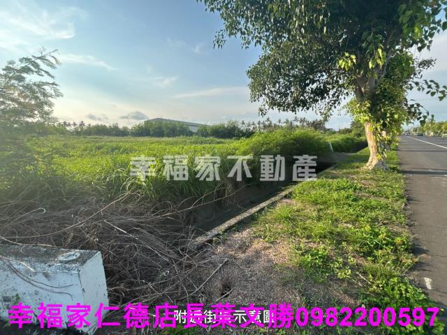 台南七股農地-5