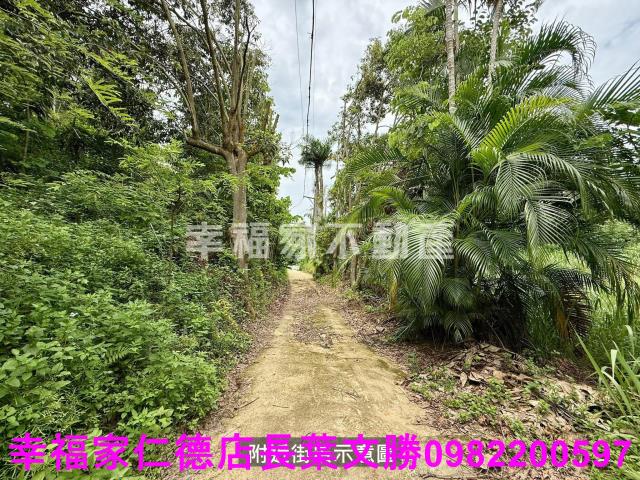 台南新化農地-10