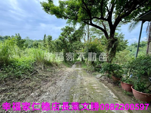 台南新化農地-2