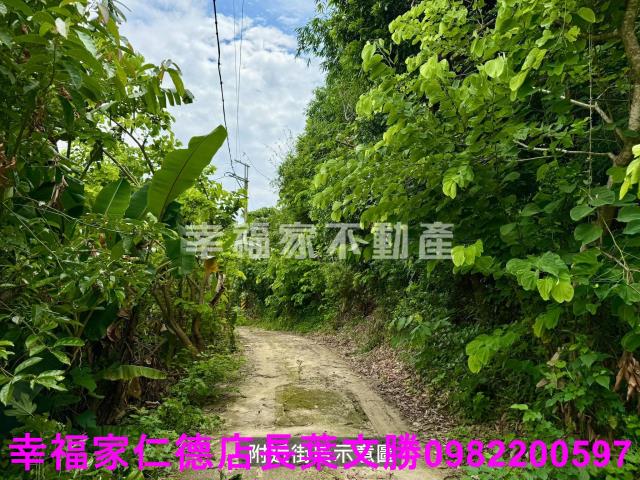 台南新化農地-6