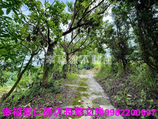 台南新化農地-9