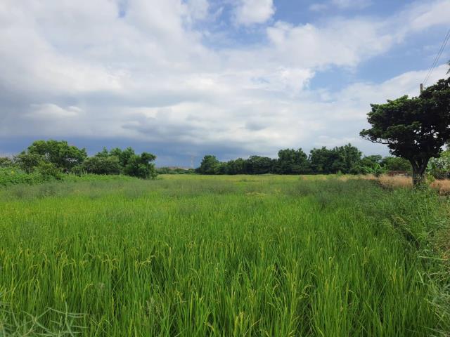 桃園蘆竹農地-3