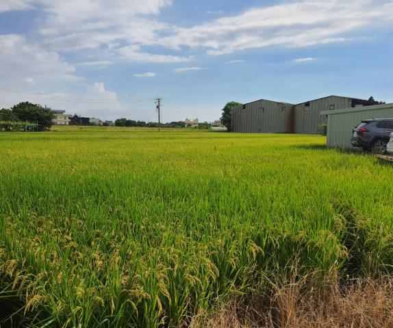 桃園蘆竹農地-5