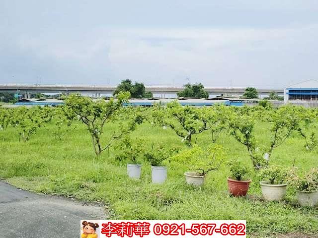 台南歸仁農地-4