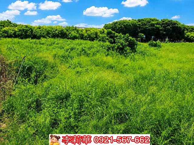 台南歸仁農地-7