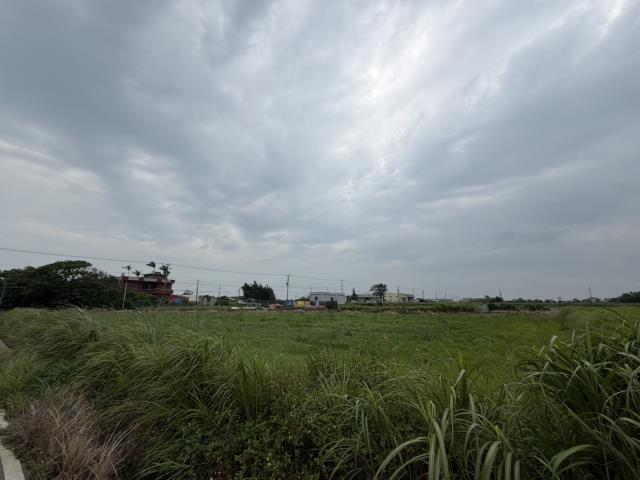 桃園觀音農地-5