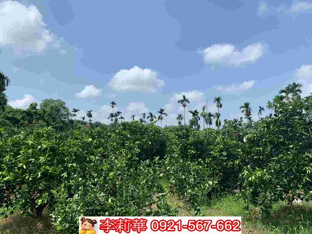 台南白河農地-13
