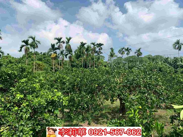 台南白河農地-14