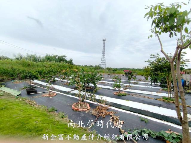 七股農地-14
