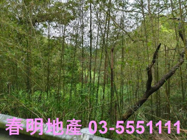 新竹農地-11