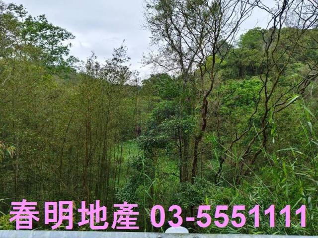 新竹農地-3