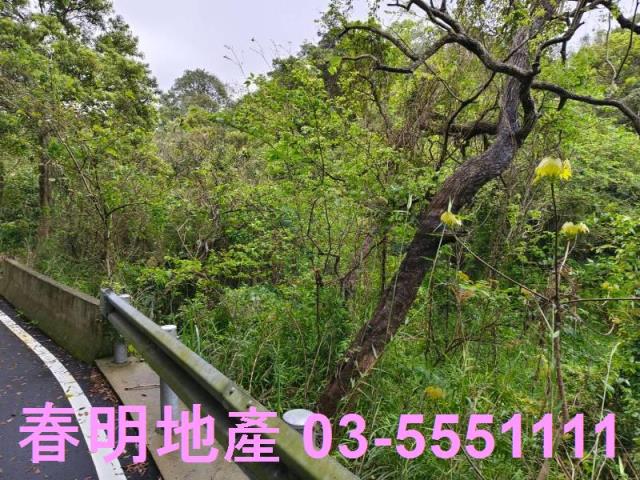 新竹農地-4