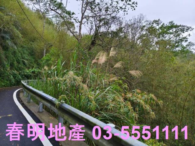 新竹農地-9