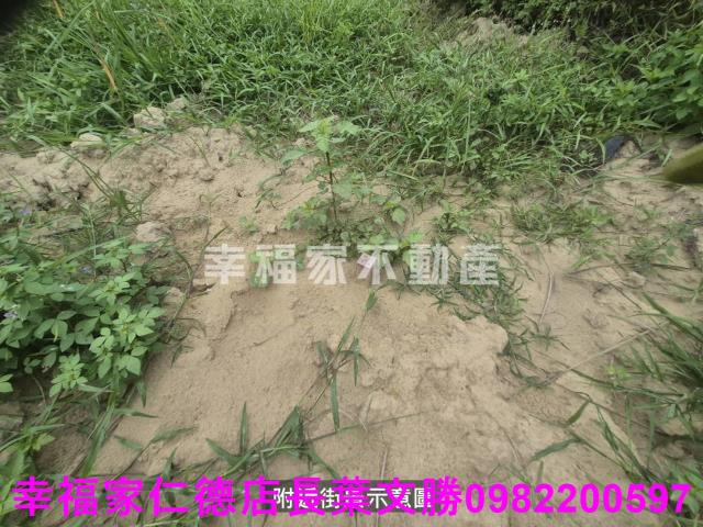 台南農地-1