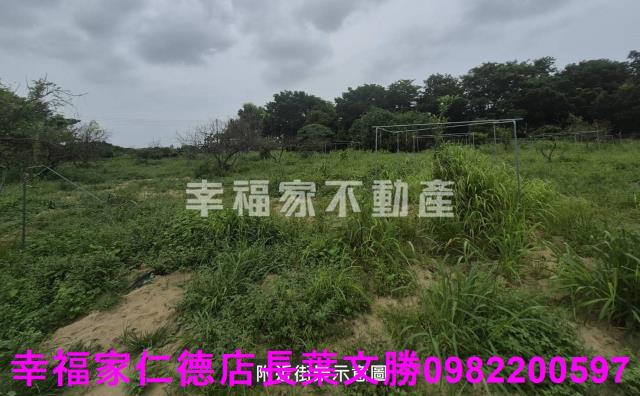台南建地-12
