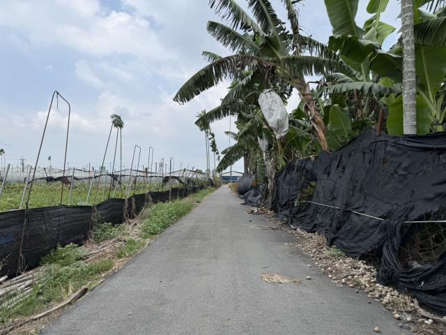 屏東鹽埔農地-3