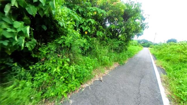 高雄阿蓮農地-4