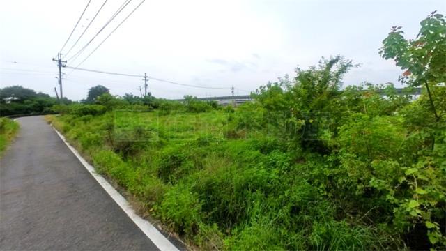 高雄阿蓮農地-5