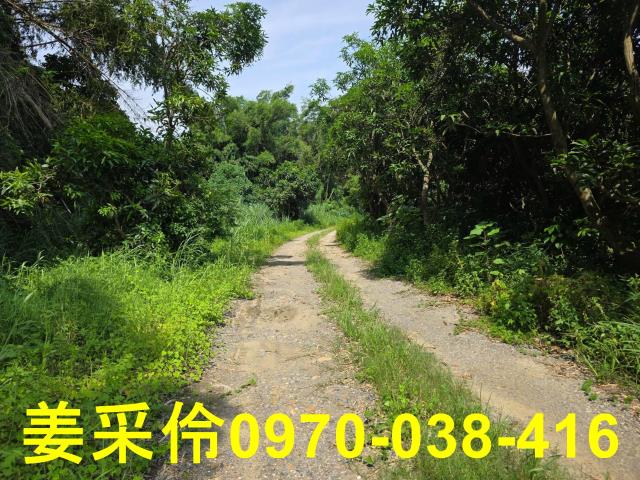 嘉義民雄農地-11