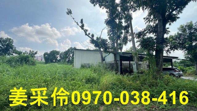 嘉義民雄農地-2