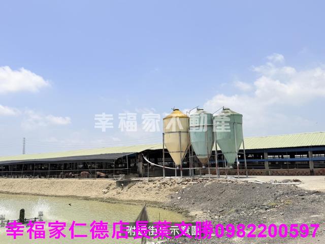 高雄路竹農地-6