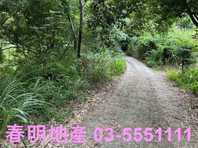 新竹峨眉農地-10