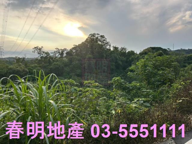 新竹峨眉農地-12